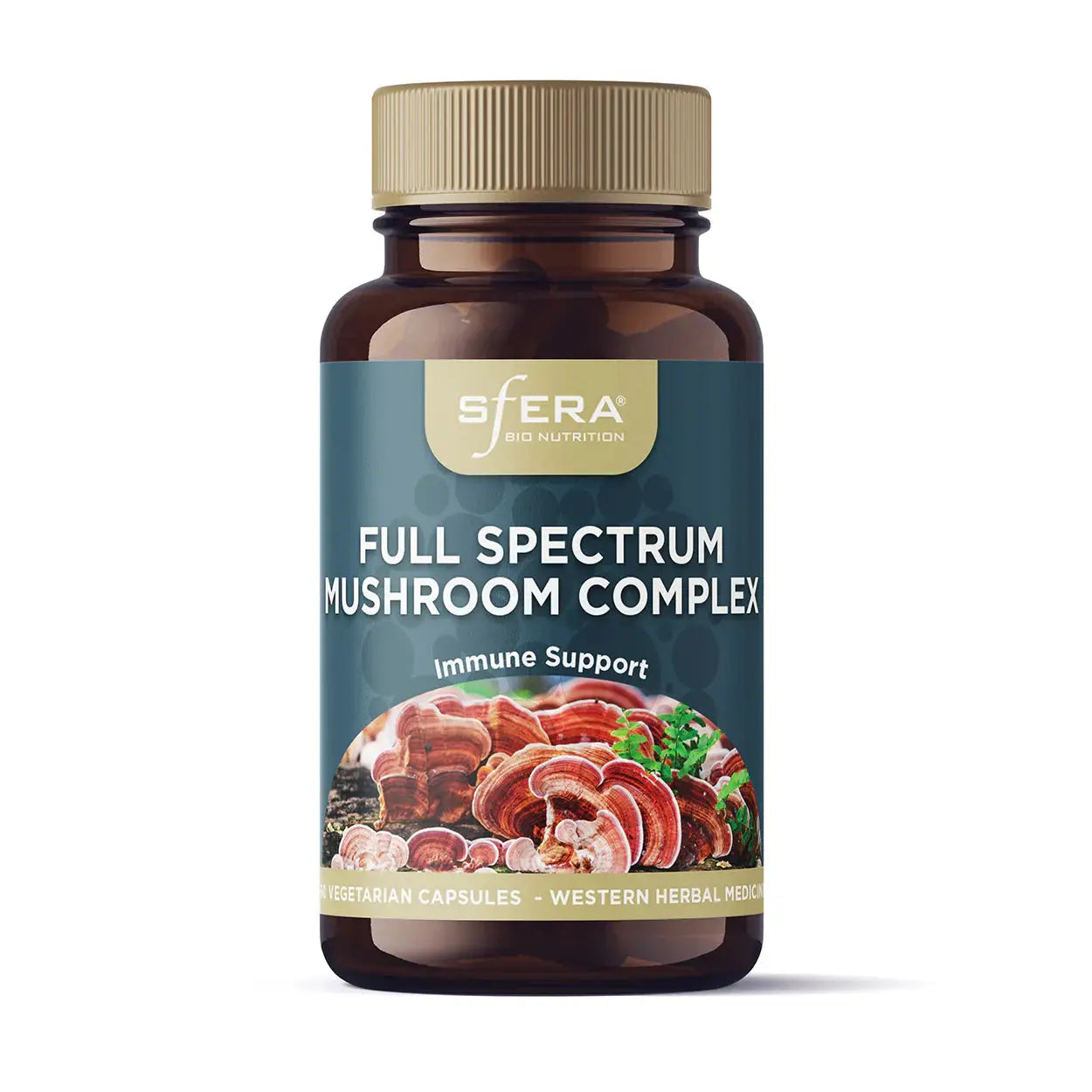 Full Spectrum Mushroom Complex Sfera